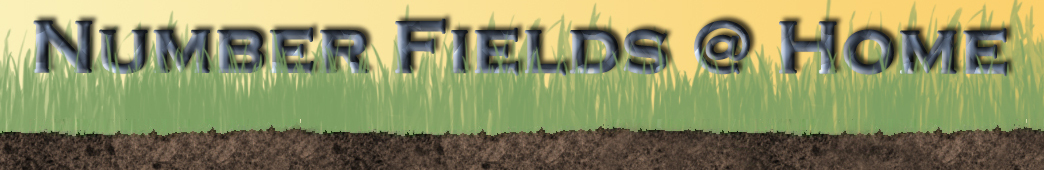 NumberFields@home Banner — Arizona State University